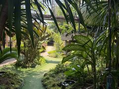 -Ohkajhu Organic Farm Sansai