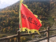 -芦芽山旅游度假区