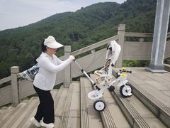 -铁山坪森林公园