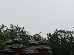 -御林古桑园