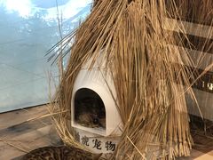 -袖虎·猫馆(体育西路店)