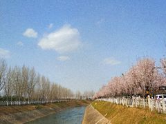 -汉长安城未央宫国家考古遗址公园