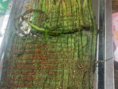 -清真·馬坡二旦烧烤(人生一串拍摄店)