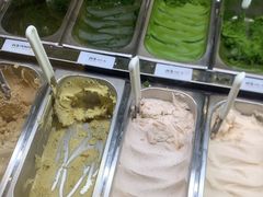 -鹤茶野所(上海首店)