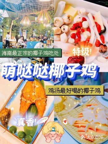 三亚美食/超级美味的椰子鸡