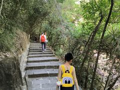 -广州白江湖森林公园