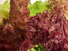 -钱小奴炭烤自助料理·安格斯牛肉(盐城中南城店)