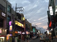 -宝健路步行街(Pedestrian Shopping Street)