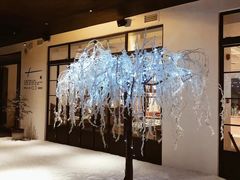 -T館·花园艺术餐厅
