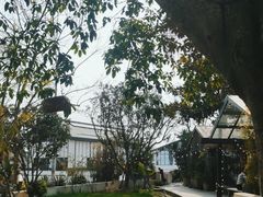 -悦哉·派对·草坪婚礼·围炉煮茶(三圣乡店)