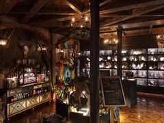 -雪灵魔法世界SHELLY’S TAROT(大良桂畔里店)