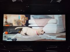 -大光明丽星VIP影城(昌里路杜比全景声店)