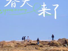 -巧克力渔家.小船海鲜胶东菜(万平口店)