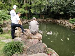 -上海虹桥迎宾馆