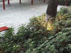 -顺风山庄(水濂山店)