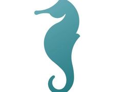 -海马体照相馆(成都来福士广场店)