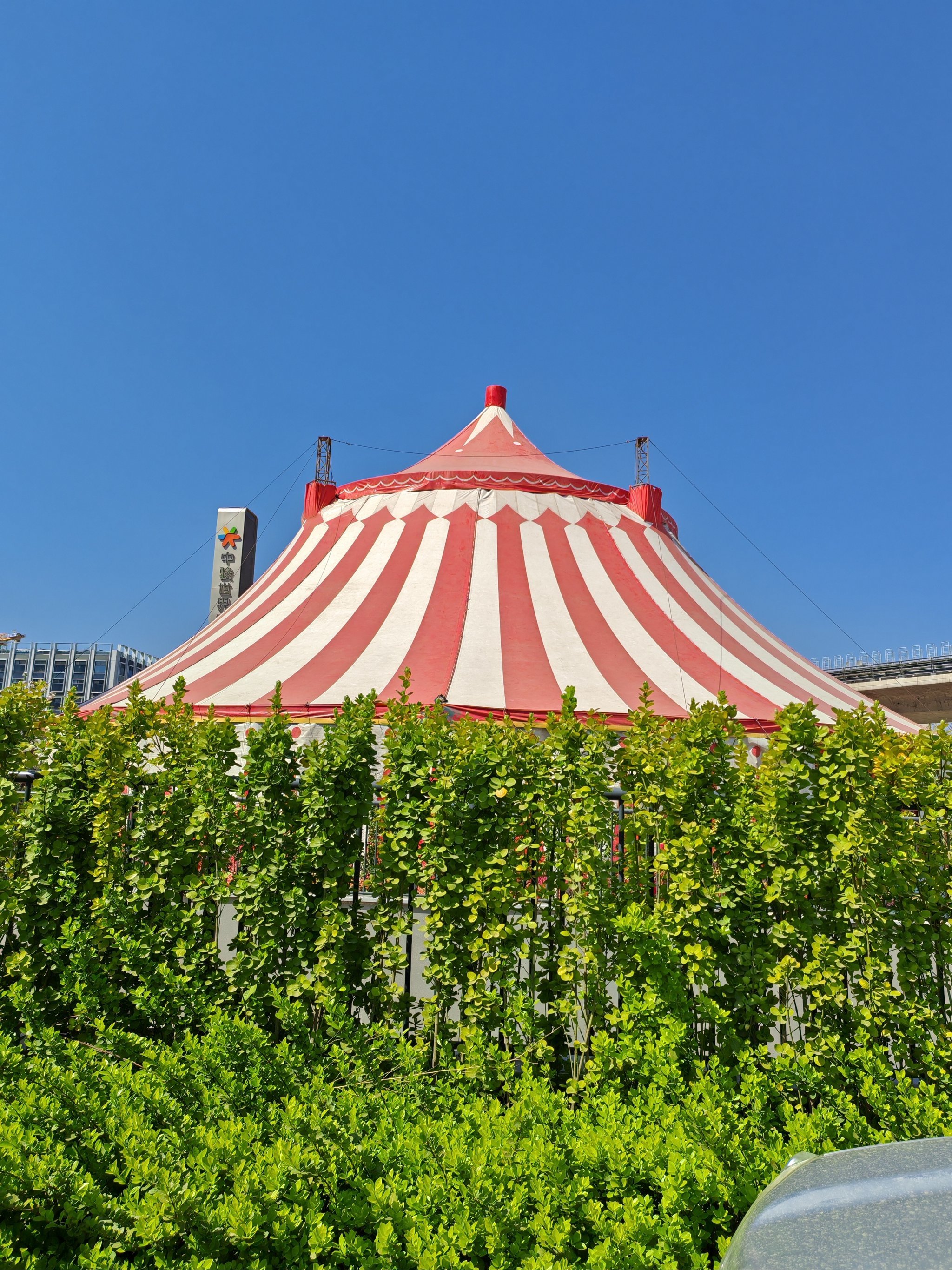 马戏表演不可错过