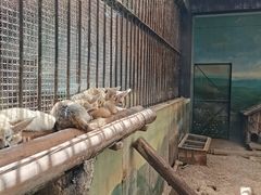 -昆明动物园