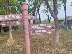 -苏州太湖国家湿地公园
