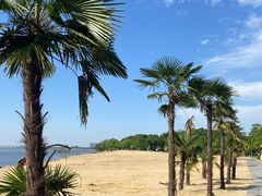 -艾溪湖湿地公园