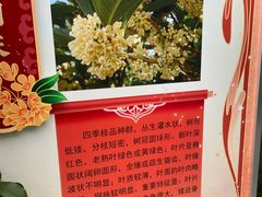 -北京市劳动人民文化宫(太庙)