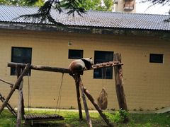 -石家庄市动物园