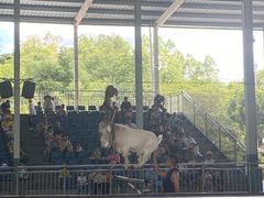 -泉州海丝野生动物世界