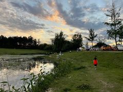 -两河城市森林公园