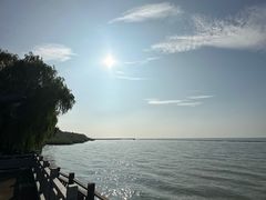 -长田漾湿地公园