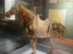 -衢州市博物馆
