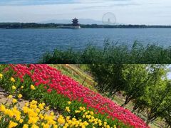 -泰山花样年华景区