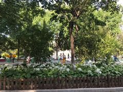 -丰台花园