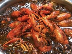 -大孩龙虾(体育场旗舰店)
