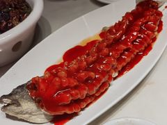 -刘胖子家常菜·蹄花焖藕(兴业店)