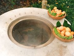-苏州湾王焰温泉度假酒店