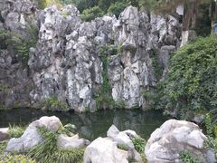 -菊花台公园