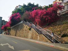 -小南山公园