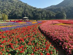 -广州市石门国家森林公园