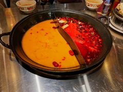 金汤板栗鸡鸳鸯锅-朱光玉火锅馆(正弘城店)