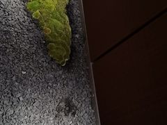 -物心空间