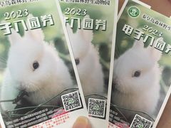 -秦皇岛野生动物园