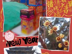 -大明幻境第一城