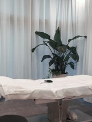 -芙芬芳·半永久纹眉（深圳旗舰店）