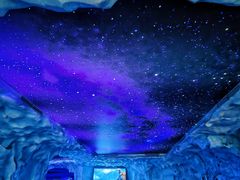 -上海海昌海洋公园-冰山北极馆