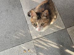 -京北渔家傲
