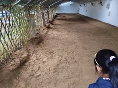 -房山世界地质公园博物馆