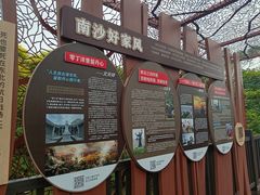 -大湾区中央湿地公园