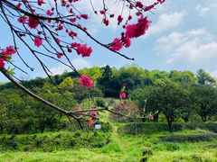 -南北湖风景区