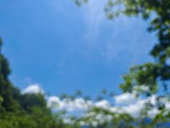 -陕西省红河谷森林公园