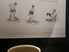 -上海崧泽遗址博物馆